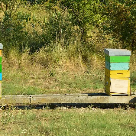 Picchio Rosso Séjour à la ferme