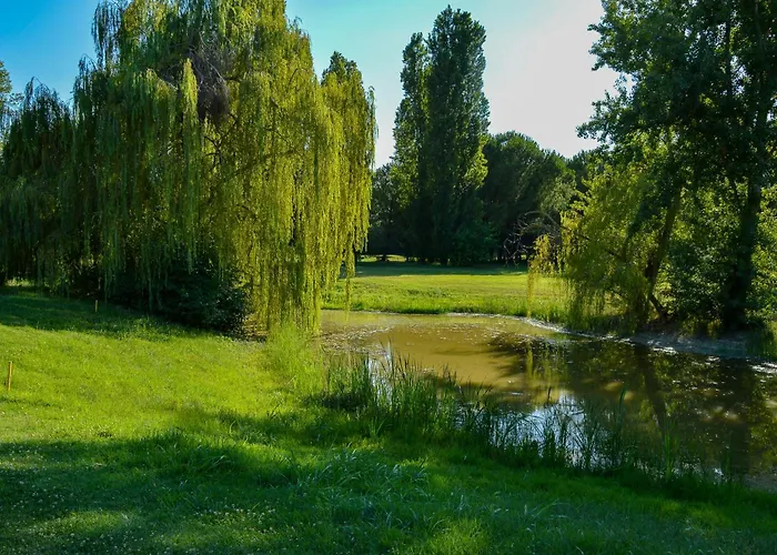 Picchio Rosso * 포를리