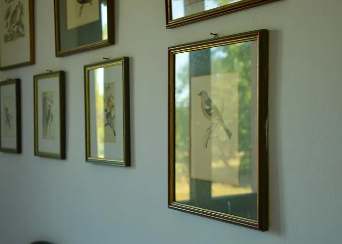 Picchio Rosso 팜스테이 포를리