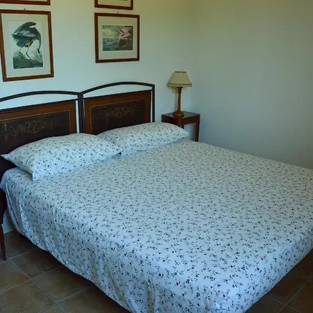 Picchio Rosso Forlì