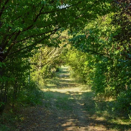 Séjour à la ferme Picchio Rosso *