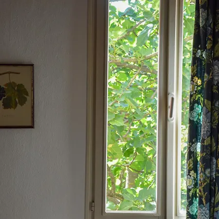 Picchio Rosso Alojamento de Turismo Rural Forlì