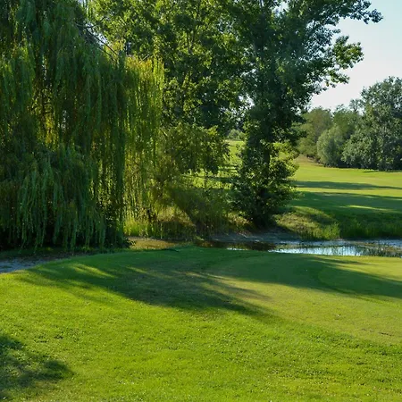 Picchio Rosso Forlì