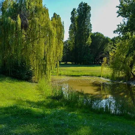 Picchio Rosso * Forlì