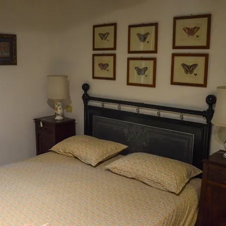 Picchio Rosso * Forlì