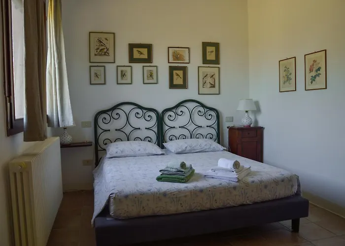 Picchio Rosso Alloggio per agriturismo Forlì