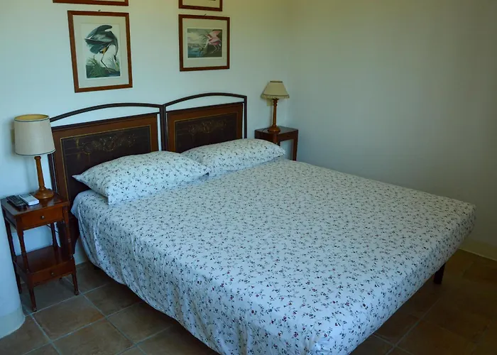 Picchio Rosso Forlì