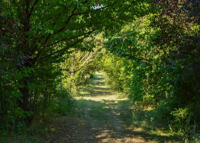 Alloggio per agriturismo Picchio Rosso *