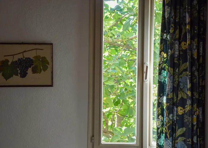 Picchio Rosso Séjour à la ferme Forlì