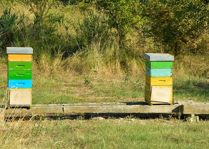 Picchio Rosso Séjour à la ferme