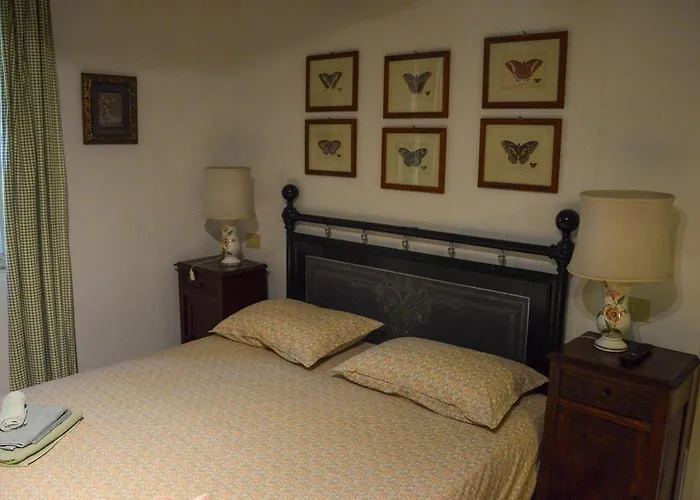 Picchio Rosso * Forlì